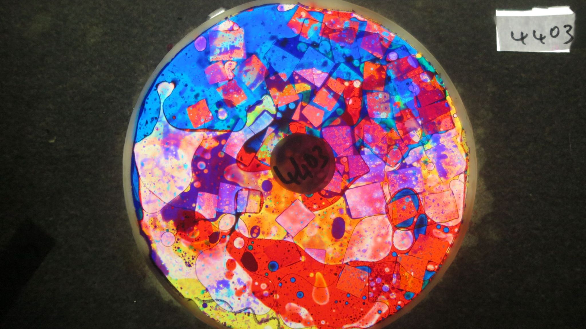 BV4403 bubble vision oil wheel